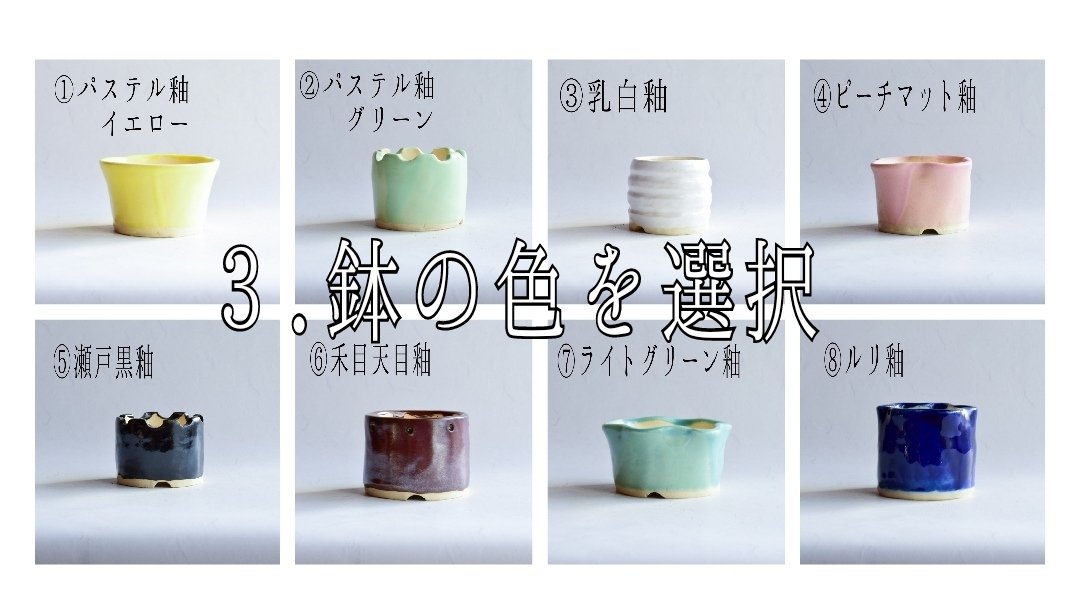 リターン選択｜Creema SPRINGS