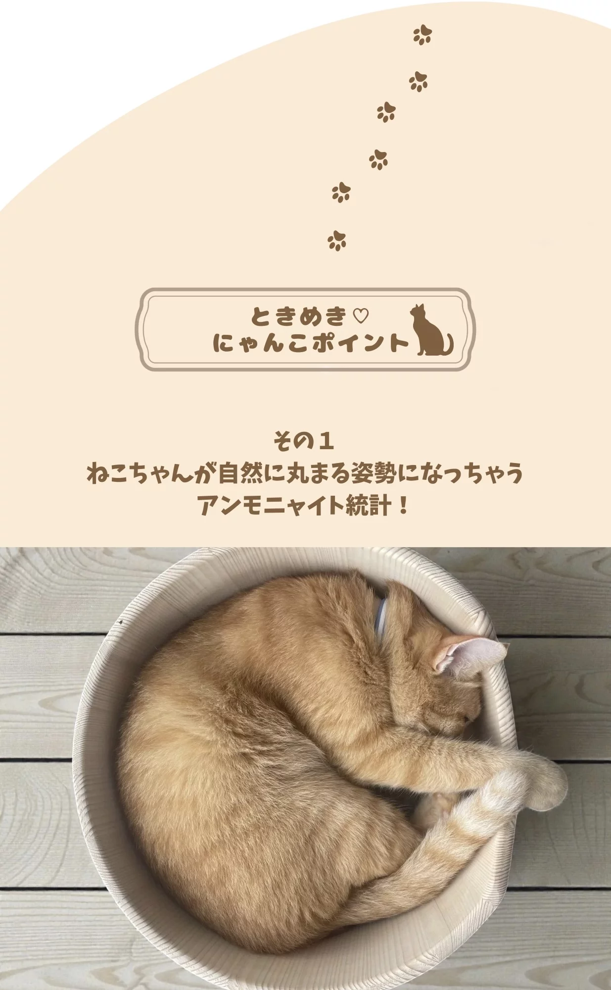 職人技を愛猫のために、2匹でピッタリ！癒しの丸みNERUKOベッド