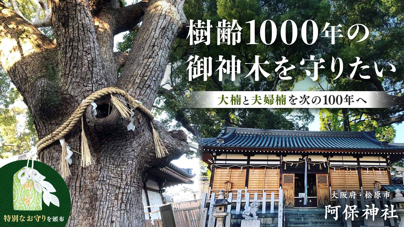 神木の葉 卸売 ご協力いただける方はぜひご相談ください。 このままでは御神木が誰かを傷つけてしまう。御神木がこれからも皆に