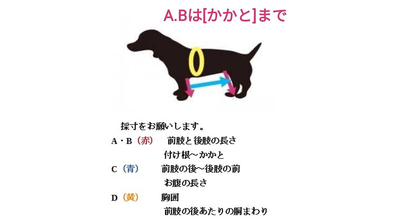 大切な家族のわんちゃんが歩けなくなってしまう前に 手づくりの4輪歩行