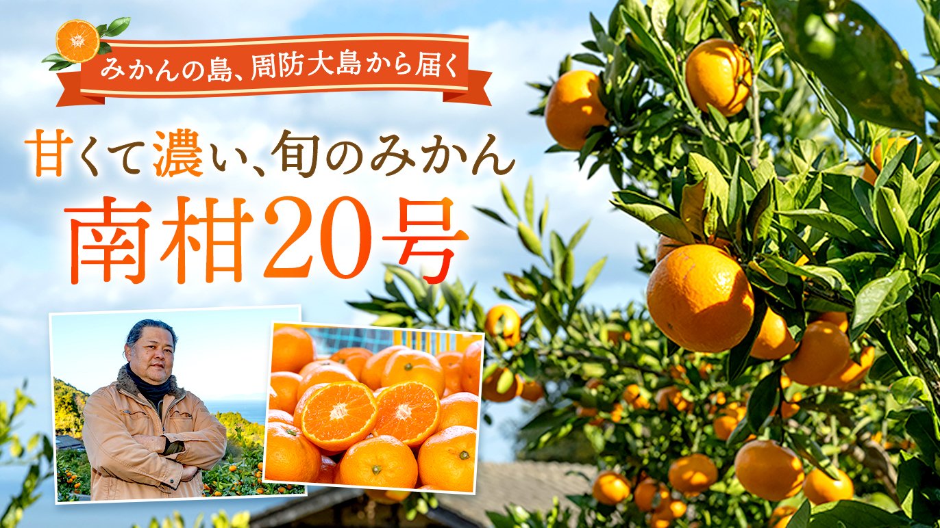 甘くて濃い！瀬戸内の恵みをもう一度 ～前回好評の周防大島旬のみかん 