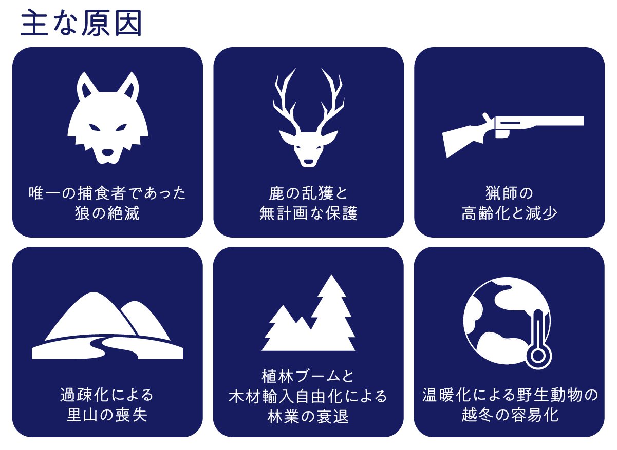 天然日本鹿の毛皮 　ブランケット Amazon｜ブランケット 鹿の野生動物 毛布 フランネル