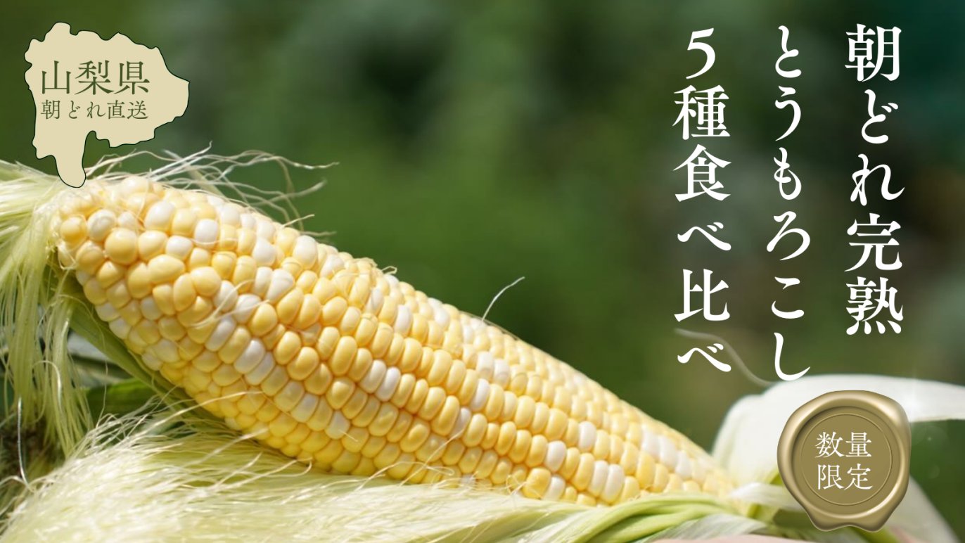 山梨県の朝どれ完熟とうもろこし” 当日直送で最高鮮度の5種を食べ比べ