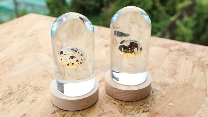 最終の谷モチーフ レジンランプ Amazon.co.jp : レジン製ウッドランプ、レジン製オーシャンランプ、海