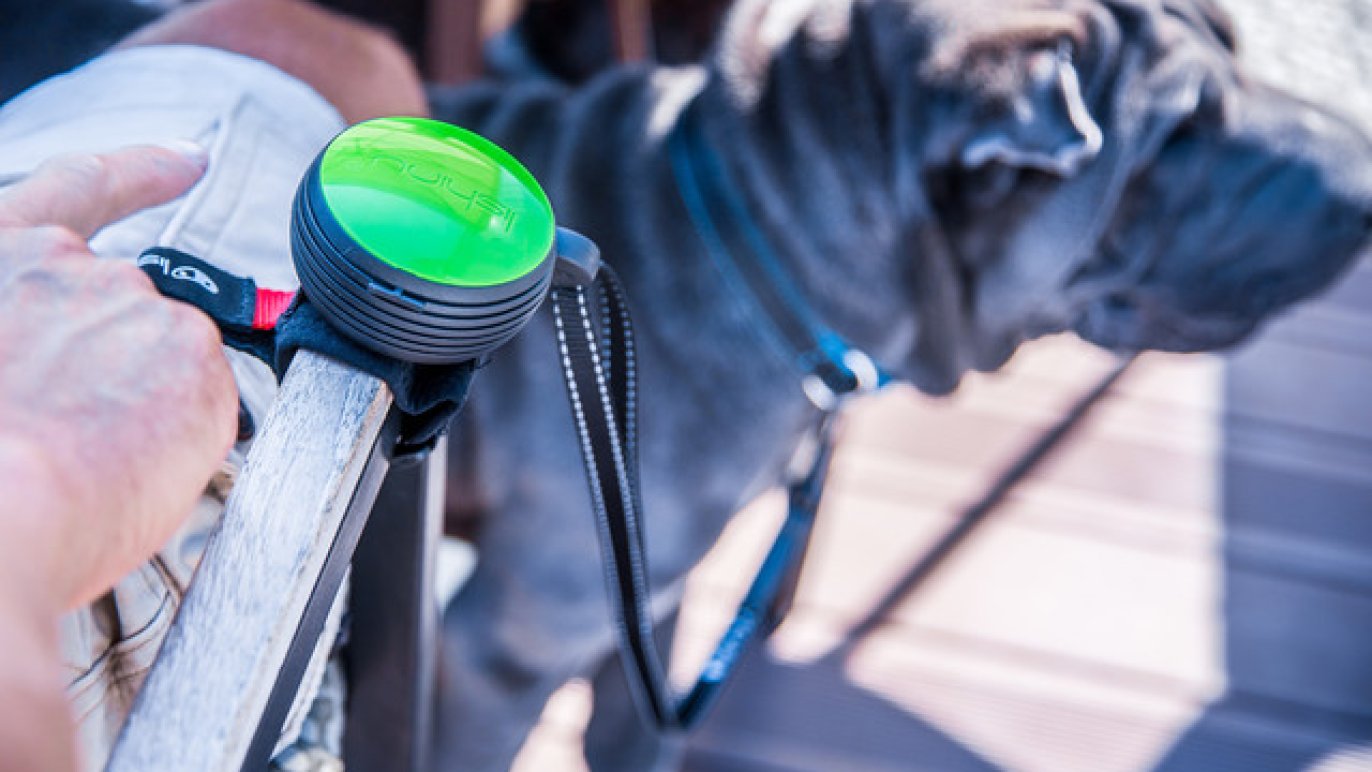 リシニュー (Lishinu) 犬用リード ハンズフリーリード Amazon | リシニュー (Lishinu) 犬用リード ハンズフリーリード