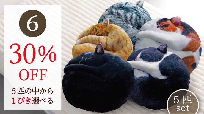 受注会】次猫リクエストNO.1に輝いた“黒猫”誕生！ねこのまんまる