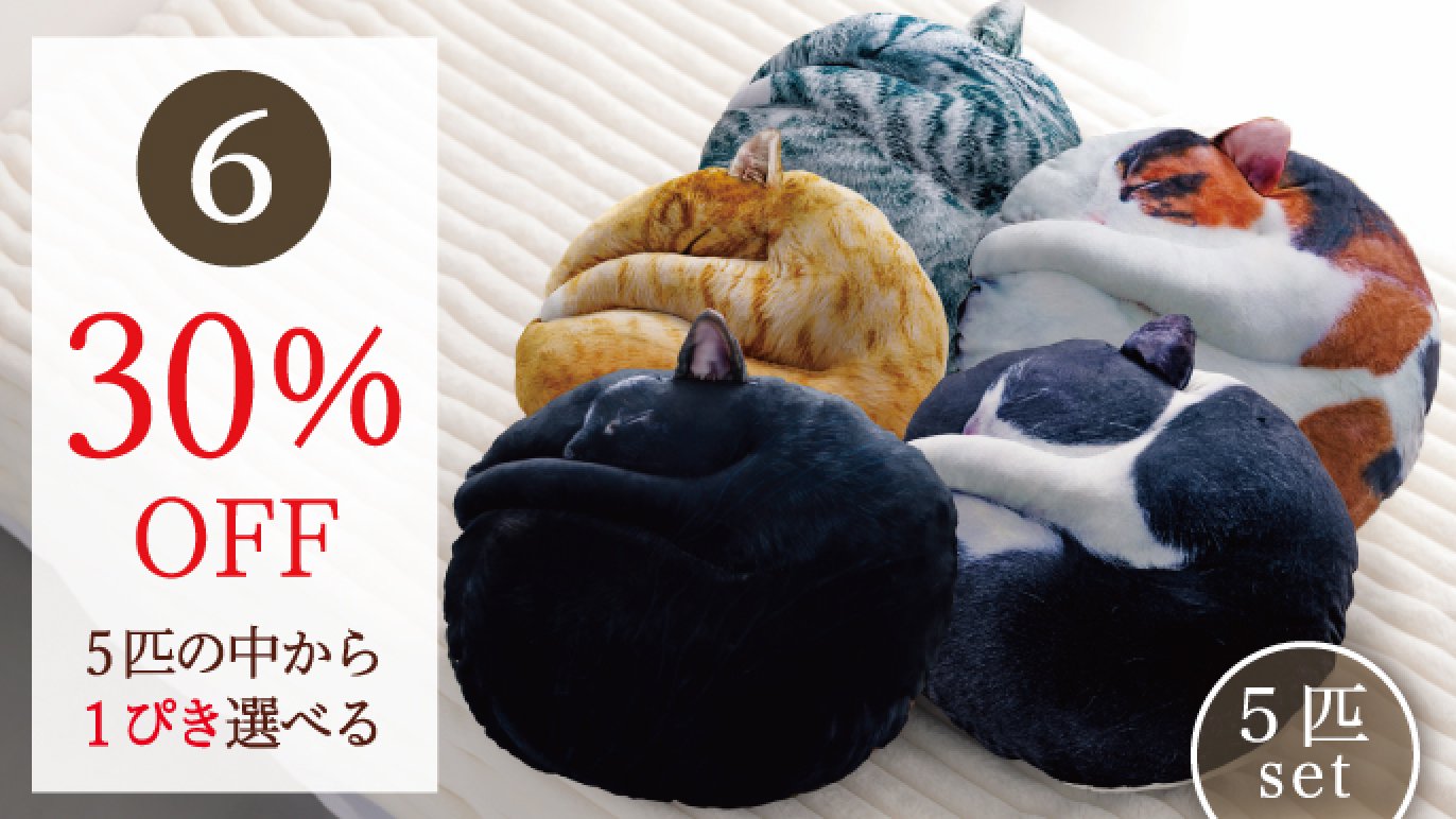 受注会】次猫リクエストNO.1に輝いた“黒猫”誕生！ねこのまんまる 