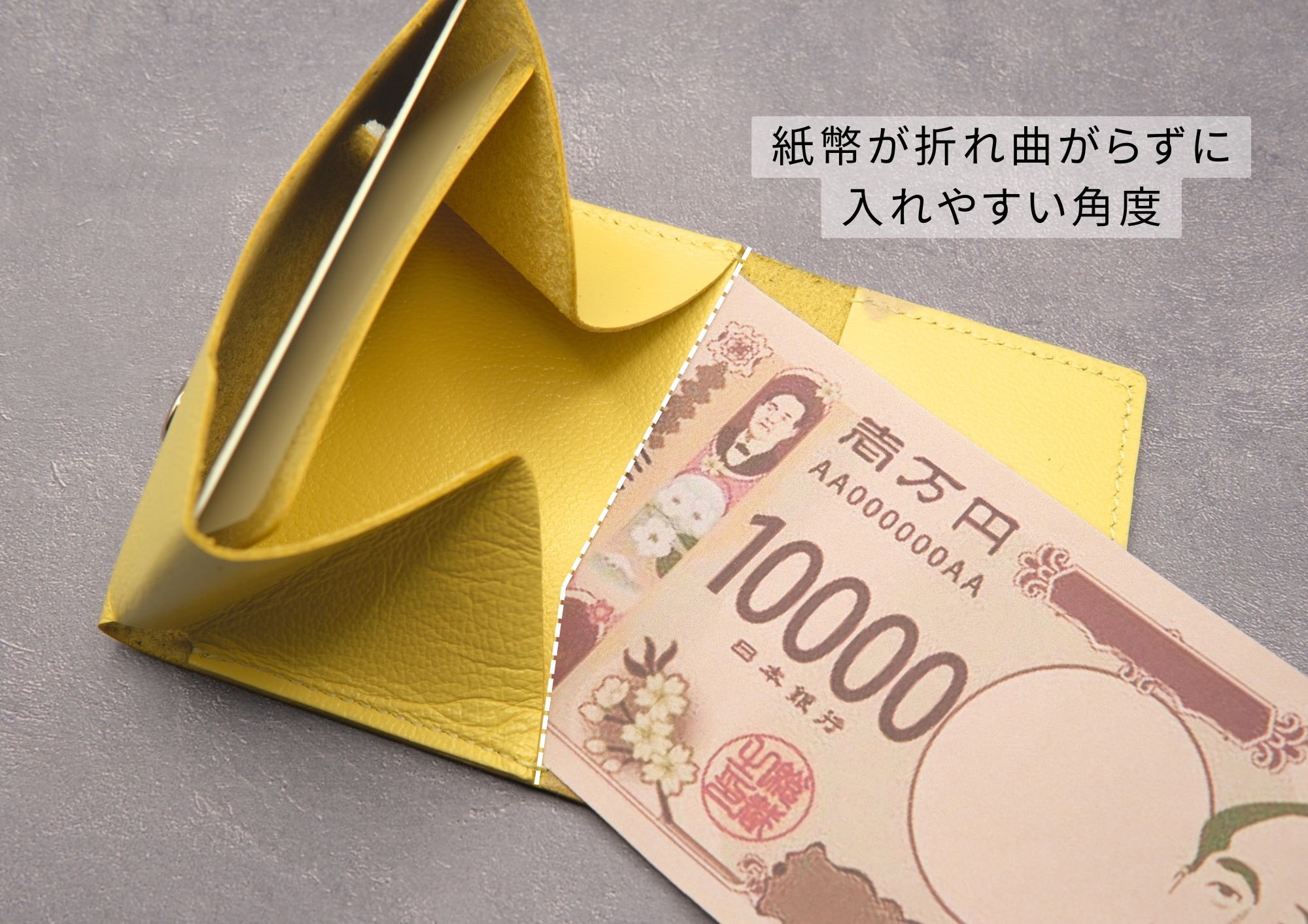 HADOU LEATHER Experience グリーン レザー Ex-Tone」新色登場。感性で選ぶ、