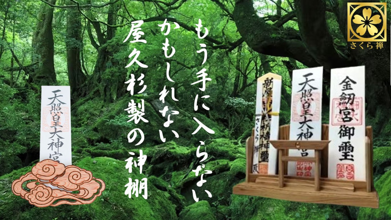 もう手に入らないかもしれない！カウントダウン 神木「屋久杉」モダン 