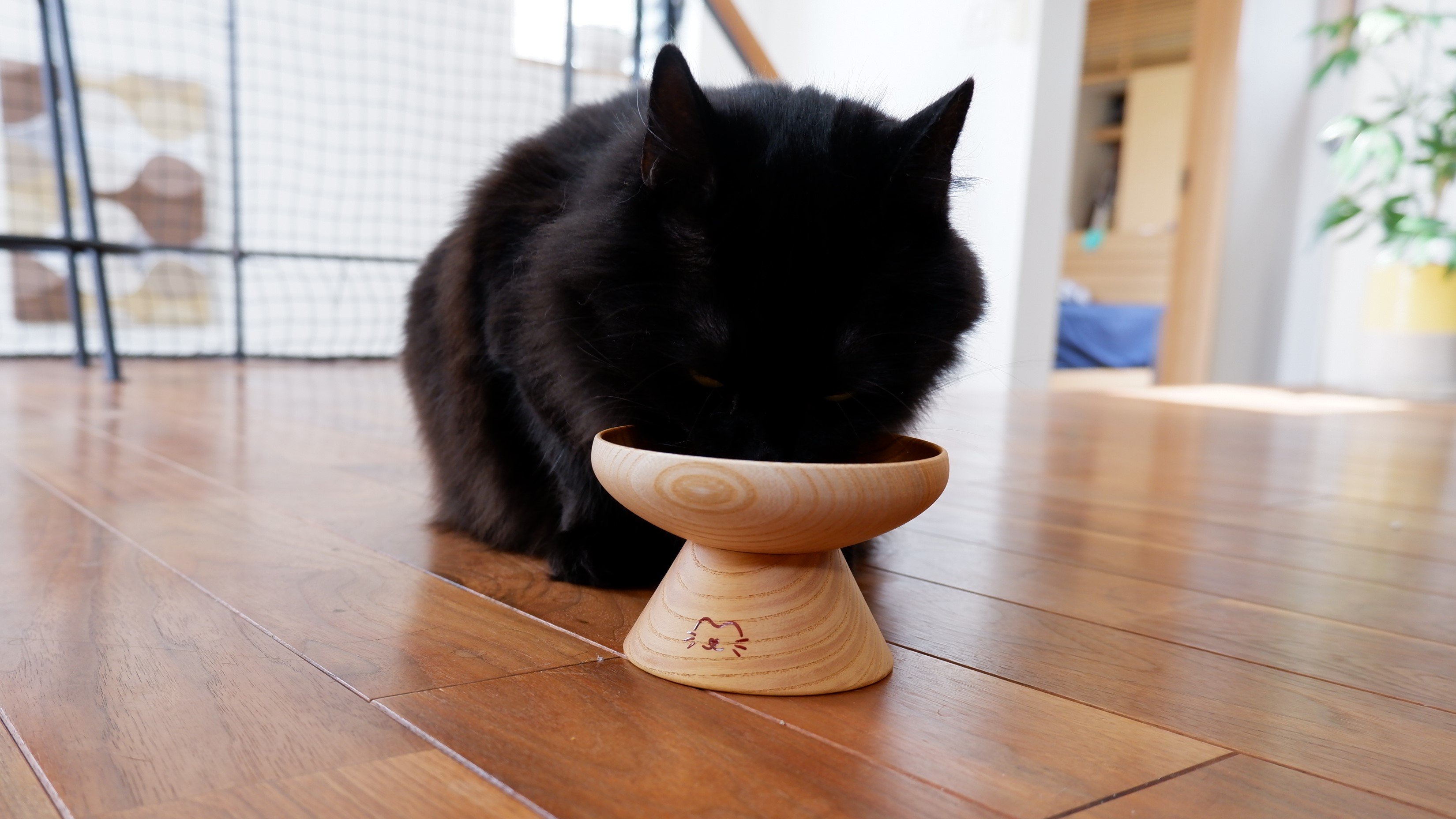 老舗漆器メーカーがにゃんこ様のために本気で作った漆ブランドの