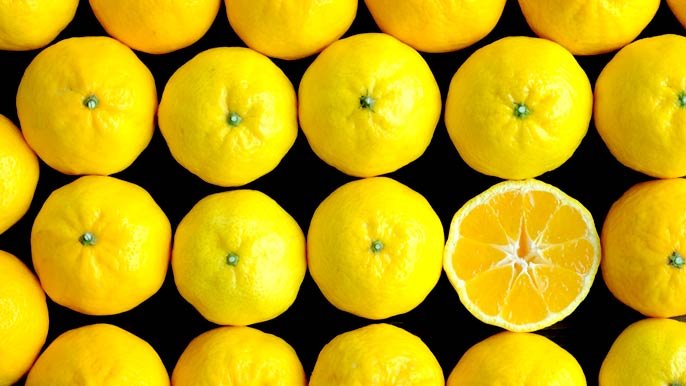 みかん@プロフィール必読ページ 10年の研究が実を結ぶ！希少みかん「媛小春（ひめこはる）」 の