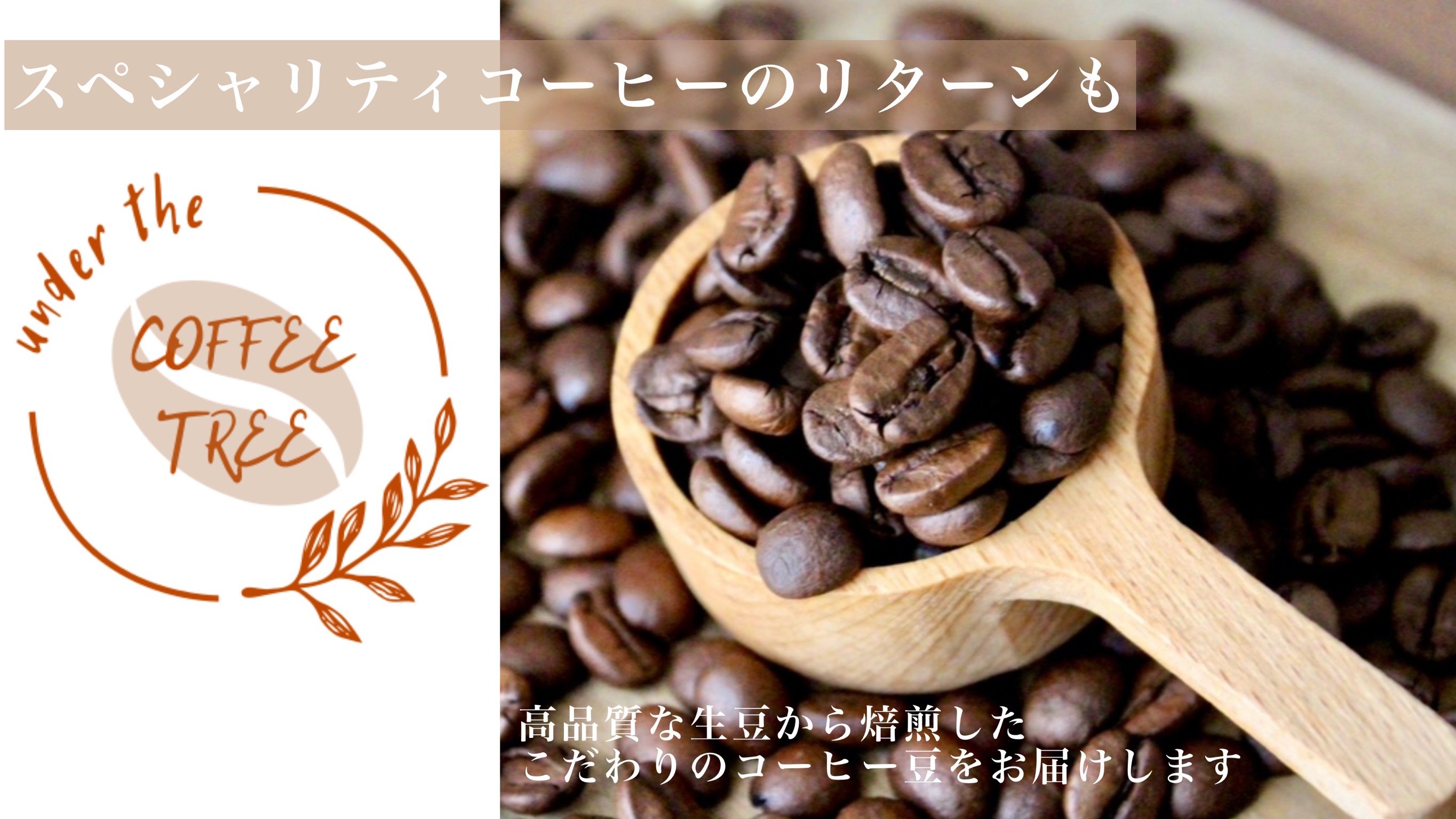 専用ページ自家焙煎コーヒー豆2000g (お好きな組み合わせOK！) ギフト