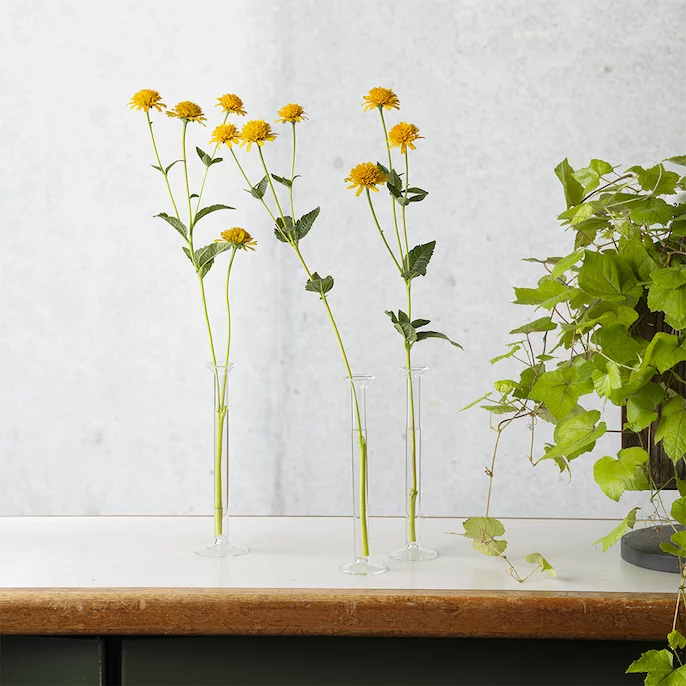 理化学ガラスの花瓶「MEDIFLA」で癒やしのひとときを｜Creema SPRINGS