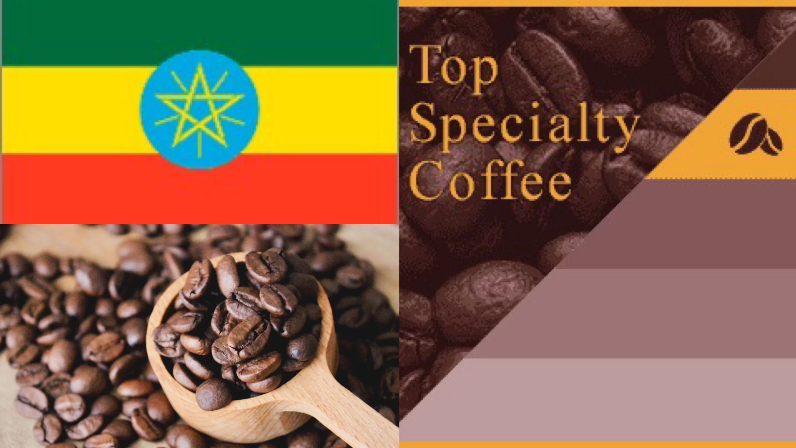 コーヒー豆の新提案！身に着けるコーヒーアクセサリー【caffeine 