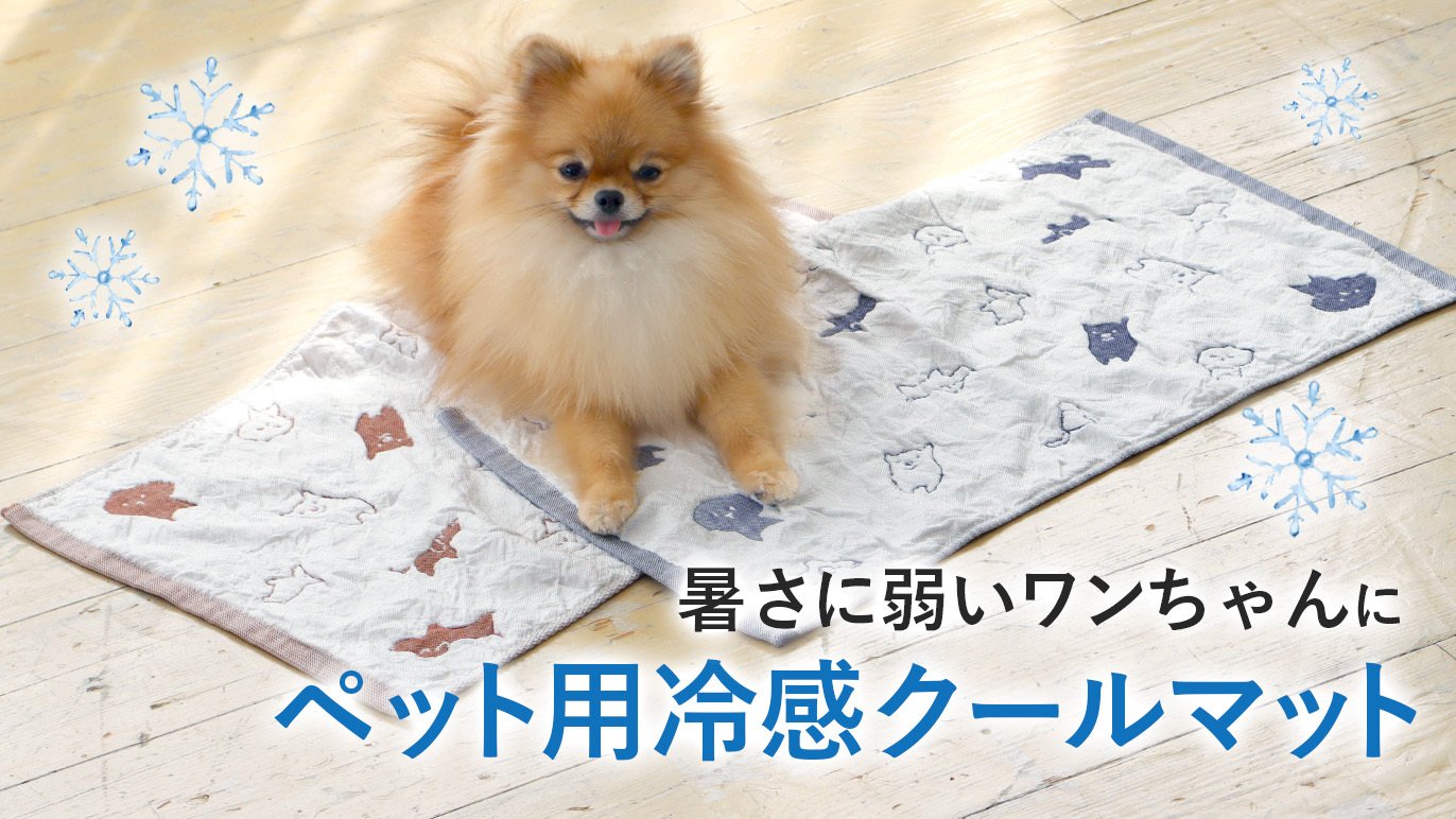 5重ガーゼでより冷たい、乗るだけひんやり。ワンちゃん冷感クール